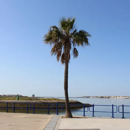Why Not Rio * Ayamonte